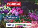 Pesquisa de flores 2020 Pesquisa de flores 2020