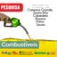 LITRO DA GASOLINA COMUM CHEGA A CUSTAR R$ 7,59 NA CIDADE DE SOUSA-PB, CONSTATA PESQUISA DO PROCON ESTADUAL