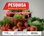 Pesquisa de hortifrutigranjeiro apresenta variação de até 464,65% no preço do quilo do chuchu em João Pessoa