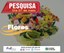 Preço de flores têm variação de até 900% em João Pessoa