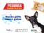 Preços da ração para gatos, em João Pessoa, variam até 55,08% e para cães 40,20%