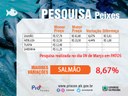 Preços de peixes em Patos varia 8,67%