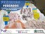 Preços dos peixes variam 77,31% e diferença chega a R$ 28 em supermercados de João Pessoa