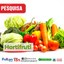 PROCON-PB realiza pesquisa nos preços de produtos de hortifruti e variação chega à 180,70%