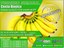 Quilo da banana Prata difere até 232,31% em supermercados de João Pessoa