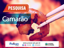 PESQUISA CAMARÃO PESQUISA CAMARÃO