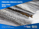 Pesquisas de peixes para semana santa Pesquisas de peixes para semana santa