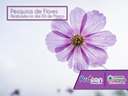 flor.png flor.png