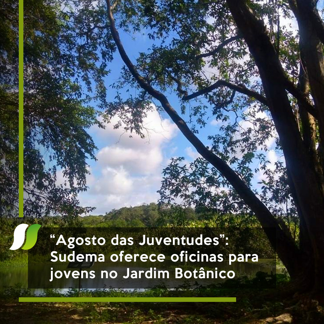 agosto das juventudes.jpg