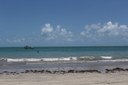IMG_3520.JPG