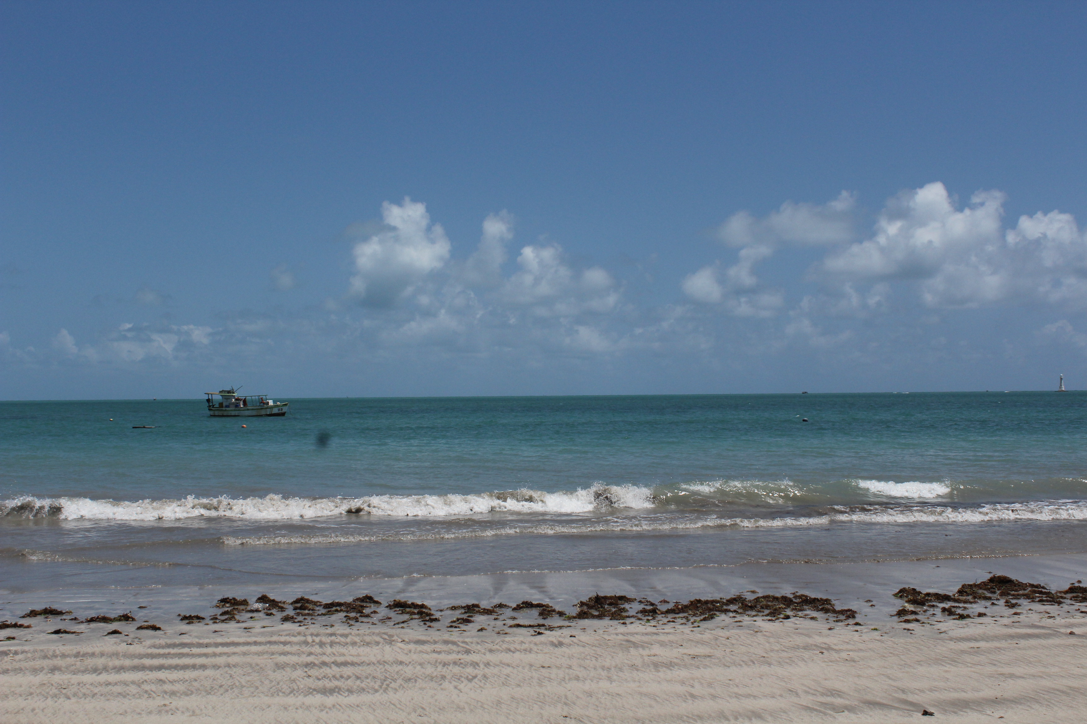 IMG_3520.JPG
