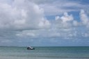 IMG_7388.JPG