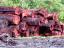 relatorio-dof-2.jpg