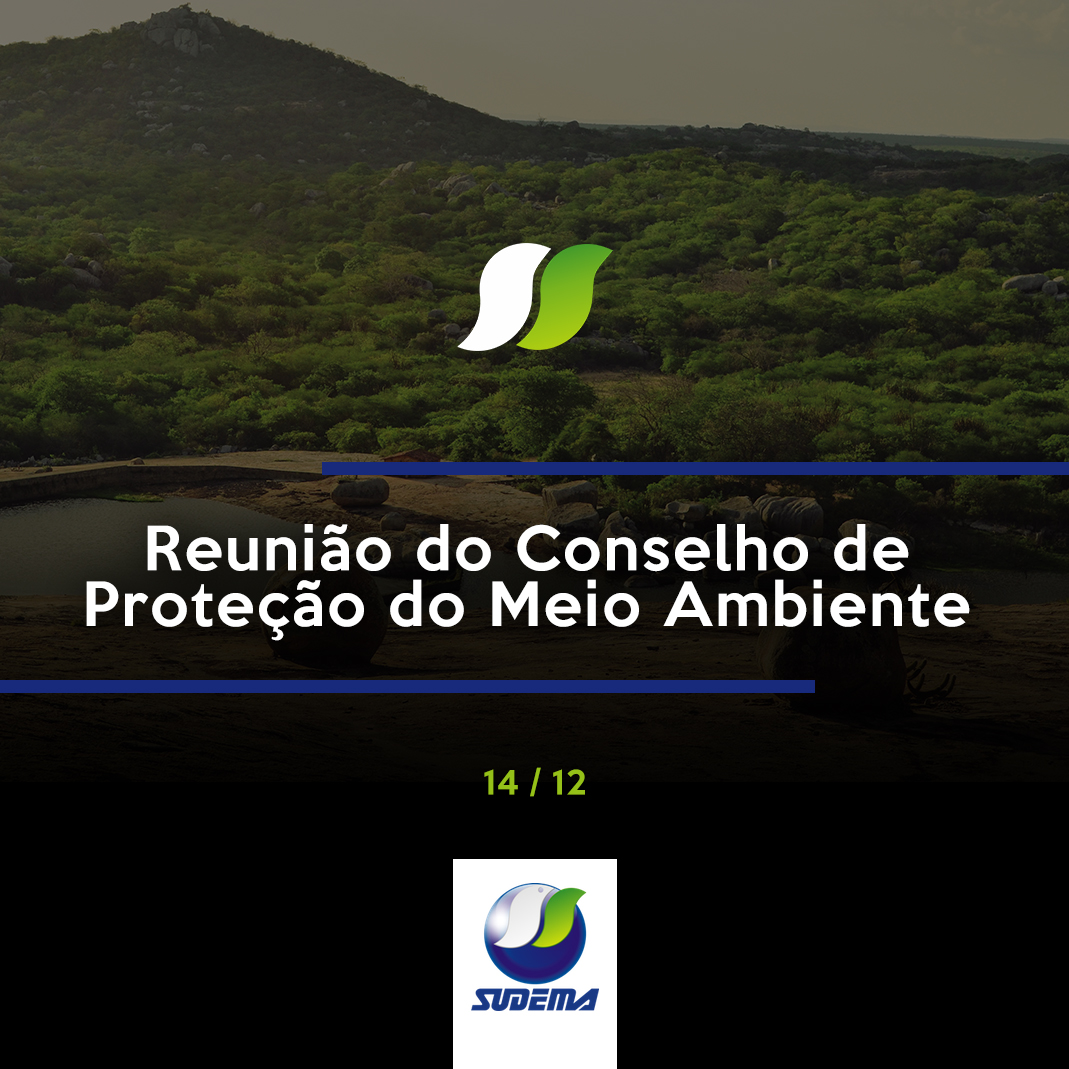 ultima reunião.jpg