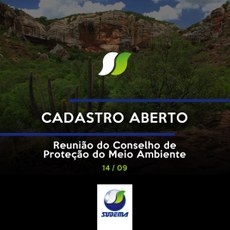 Copam terá nova reunião virtual no dia 14 de setembro