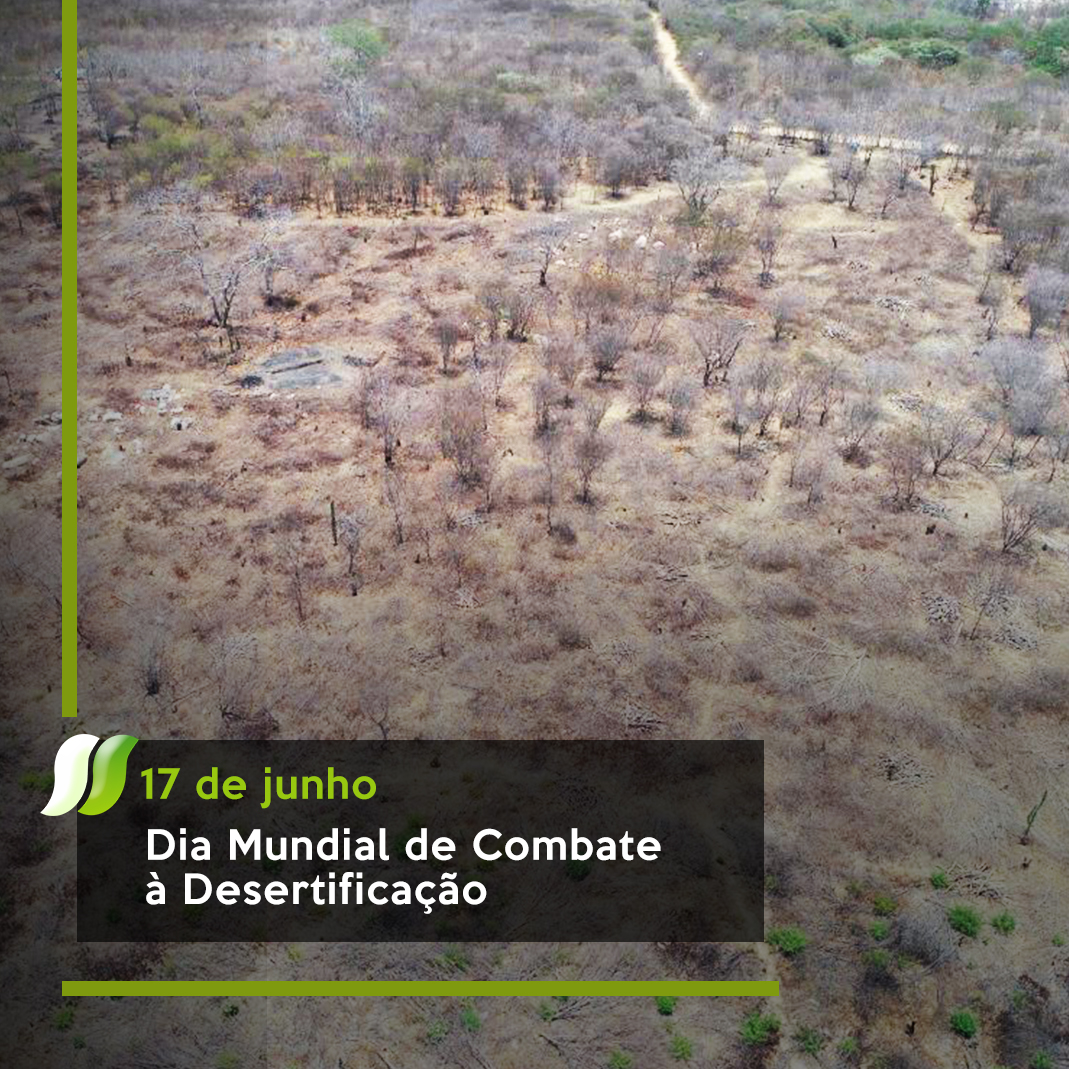 dia mundial de combate a desertificação.jpg