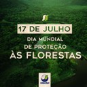 florestas.jpg