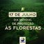 florestas.jpg