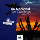 Dia Nacional da Caatinga Arte.png