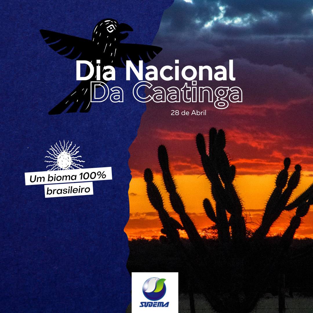 Dia Nacional da Caatinga Arte.png