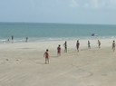 p50.jpg