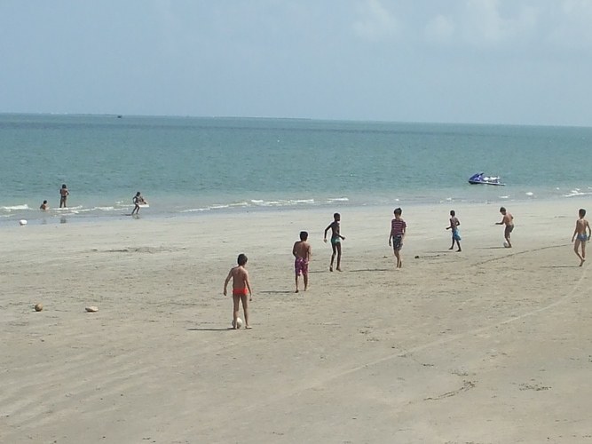 p50.jpg