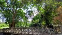IMG_20171009_132652849_HDR.jpg