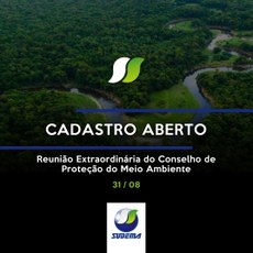 Reunião Extraordinária do Copam tratará da nova NA 101, na próxima terça (31)