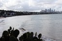 IMG_2860.JPG