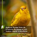 listas sispass 202122.jpg