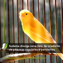 sistapss 20.jpg
