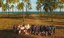 curso pe.jpeg
