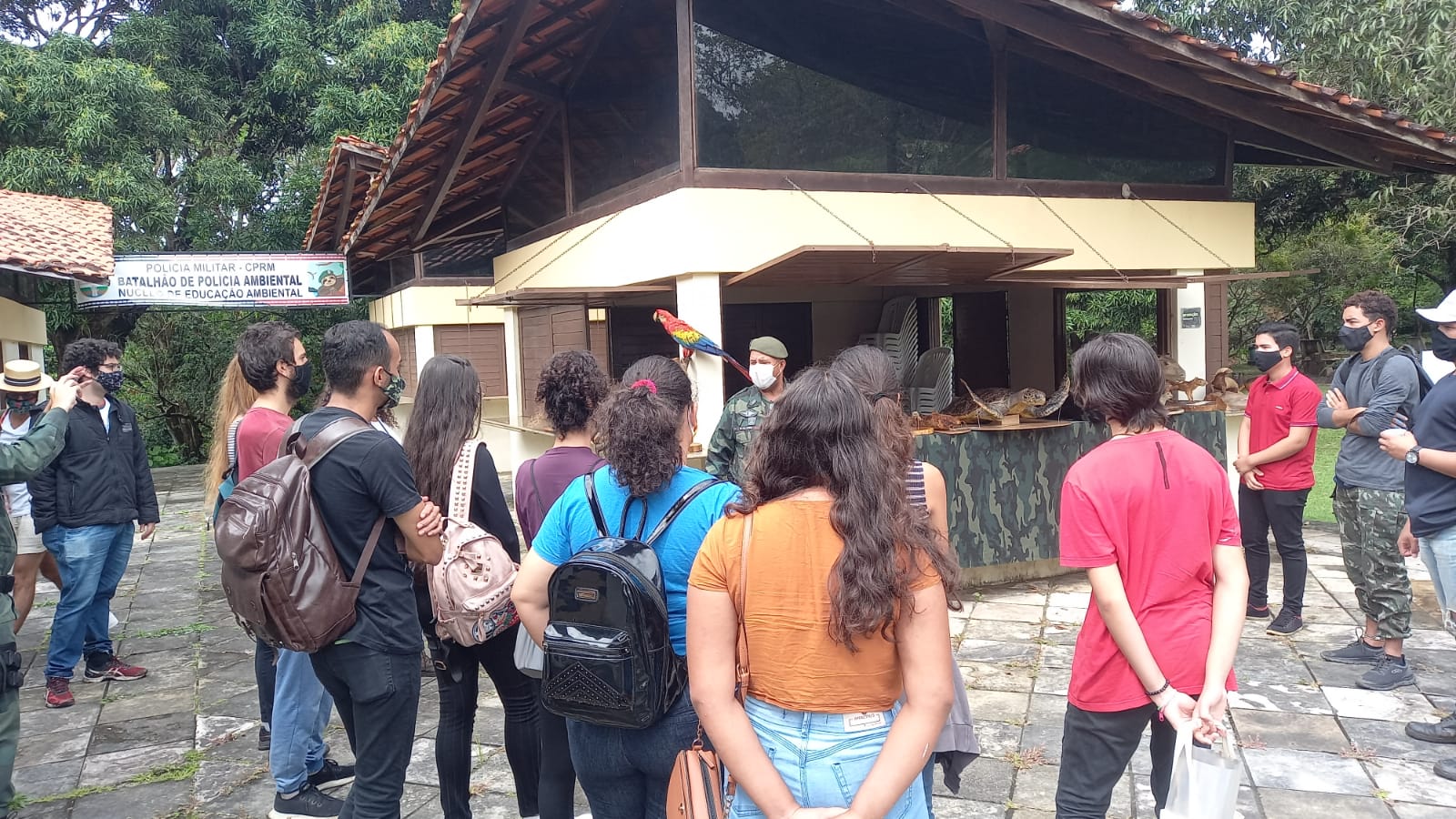exposição de animais taxidermizados.jpeg