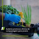 compostagem.jpg