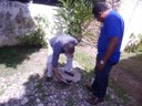 Faxina_Aedes_Sudema-2.jpg