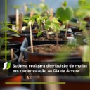 dia da arvore.jpg