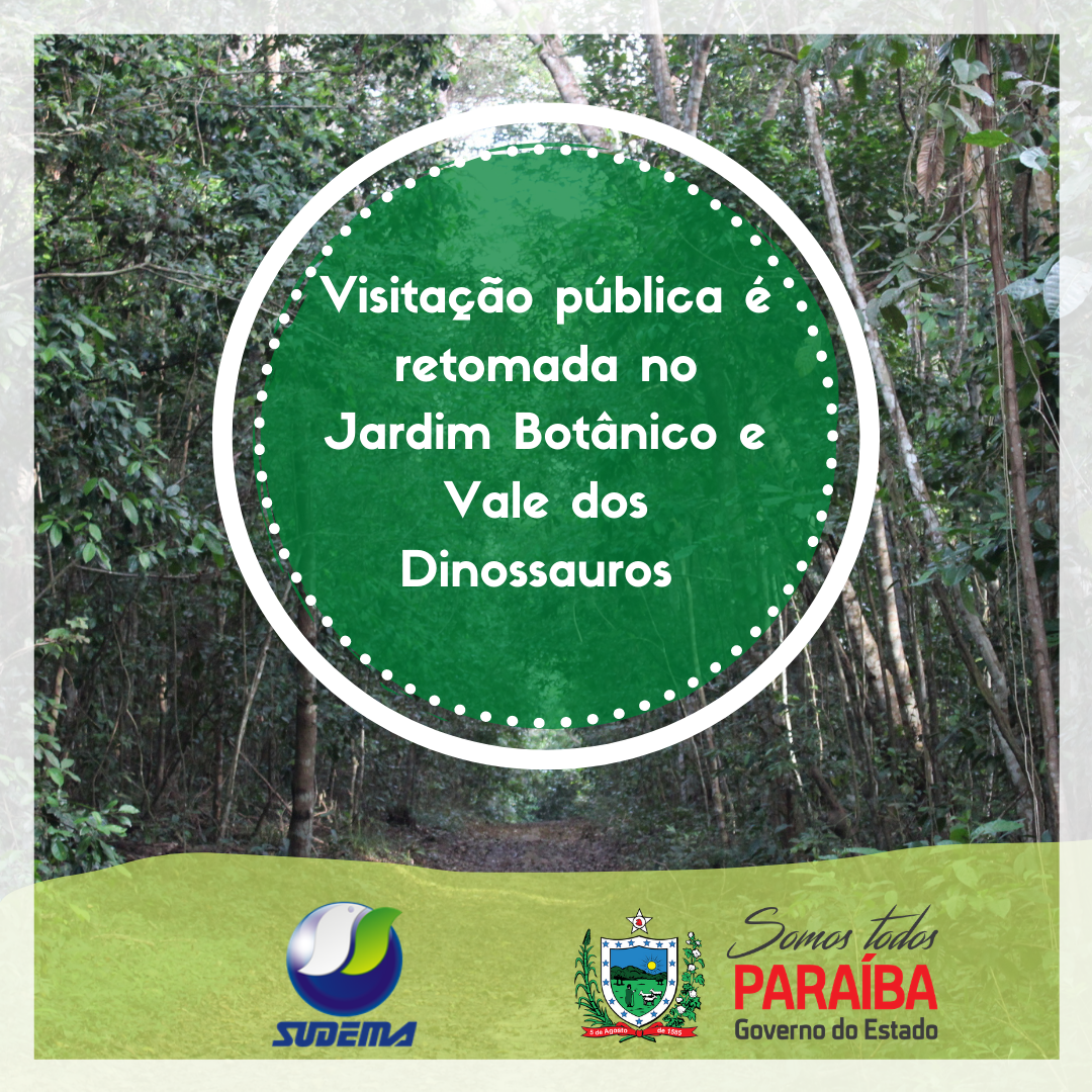 visitas.png