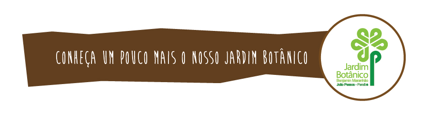topo-jbbm2-09