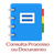 consulta_proc_doc_icone.png