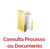 Consulta Processo ou Documento