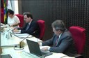 pleno.jpg